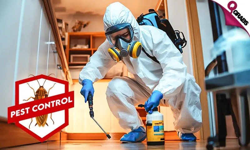 Protect your Home with a Pest Control Treatment!